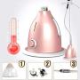 HWZXBCC 2000W,Steam Household Hanging Ironing Machine, High Power Small Hand-held Vertical Mini Electric Iron,10 Files Thermostat (Color : Gold/Pink) (Color : Gold)