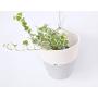 Hanging cotton pot, Natural home decor, Hanging planter, Planter basket, Handle basket, Hanging basket, Kids room storage, Plant hanger Rope