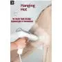 Star Cloud Handheld Small Ironing Machine, Convenient steam Ironing Machine Store Travel Home Folding Hanging Ironing Machine Ironing Clothes Student Dormitory Mini Electric steam Iron