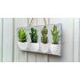 Wooden Cactus key holder for wall, Wood Cactus wall decor, Tropical wall decor, Hook key, Organizer wall key rack, Cactus key storage,Wall Key Rack, Key Hangers, Personalized Gift, Cacti key hanger