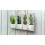 Wooden Cactus key holder for wall, Wood Cactus wall decor, Tropical wall decor, Hook key, Organizer wall key rack, Cactus key storage,Wall Key Rack, Key Hangers, Personalized Gift, Cacti key hanger