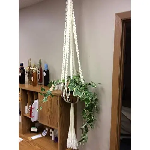 Macrame Plant Hanger with Basket Of Ivy Macrame Plant Hanger with Basket Of Ivy