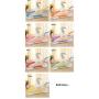 10pcs Random Color Cute Plastic Clothes Shirts Hanger with Anti-Slip Rubber, Pink Blue Plastic Non Slip Hangers Decoration