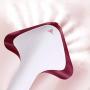 HWZXBCC Steam Iron Garment Steam Ironing 2L Household Ironing Machine steam Small Vertical Handheld Iron steam Hanging Ironing Machine 220v