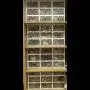 FIXSMITH Clear-Plastic-Shoe-Storage-Boxes-Foldable Shoe Containers 4 Pack,Stackable Shoe Cases w/White Frame,Back to School,Transparent Shoe Organizer Boxes for Closet,Shelf,Deck&More,Multi-Purpose.