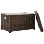 happimess Elijah 30" Wicker Storage Trunk, Brown