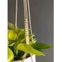 Vintage style macrame plant hanger, vintage pattern plant hanger with wood beads