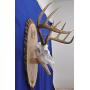 Antler Mount Kit | European Antler Kit | European Skull Mount | Deer Skull Kit | Deer Hunting | Antler Skull Mount | THIS SKULL AND ANTLERS ARE NOT INCLUDED