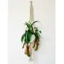 Macrame Plant Hanger Macrame Plant Hanger