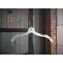 NAHANCO 1508 Plastic Dress Hanger, T-Shirt Weight, 17", Opaque White (Pack of 100) NAHANCO 1508 Plastic Dress Hanger, T-Shirt Weight, 17", Opaque White (Pack of 100)