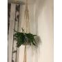 Macrame plant hanger, macrame hanging basket, large macrame hanging, home décor, hanging plants, indoor plant hanger, macrame wall hanging