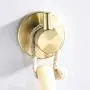 BigBig Home Stainless Steel 304 Towel Hook Champagne Golden, Wall Mounted Clothes Hanger with Screws for Bathroom and Kitchen Bathroom Accessory