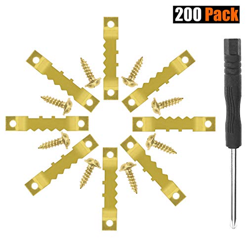 Powlankou 200 Pack Sawtooth Picture Frame Hanging Hangers Double Hole with Screws