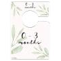 Mumsy Goose Nursery Closet Dividers Greenery Baby Clothes Dividers Botanical Closet Organizers