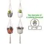 Macrame Double Plant Hanger Indoor Outdoor Hanging Planter Pot holder Cotton Rope 4 Legs 62 Inch(2 Pack) Macrame Double Plant Hanger Indoor Outdoor Hanging Planter Pot holder Cotton Rope 4 Legs 62 Inch(2 Pack)
