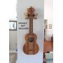 Ukulele Wall Mount Hangers, Hand Carved Pineapple, Plumeria, Honu, 3 Pack