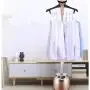 HWZXBCC 2000W，Steam Hanging Ironing Machine Household Hanging Small Vertical High Power Powerful， 9 Gear Adjustment High Power