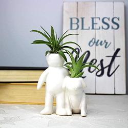 Live Tillandsia Air Plants and Air Plant Holder Complete with Ceramic&quotMans Best Friend" Air Head Person and Dog Planter, Air Plant, and Air Plant Fertilizer