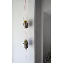 Double Plant Hanger