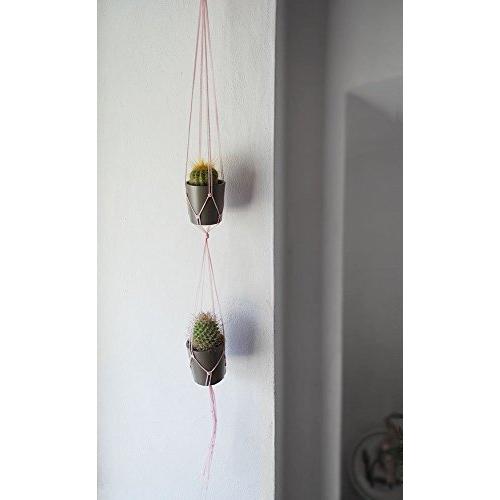 Double Plant Hanger