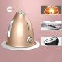 HWZXBCC 2000W,Steam Household Hanging Ironing Machine, High Power Small Hand-held Vertical Mini Electric Iron,10 Files Thermostat (Color : Gold/Pink) (Color : Gold)
