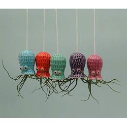 Small Hanging Octopus Air Plant Hanger