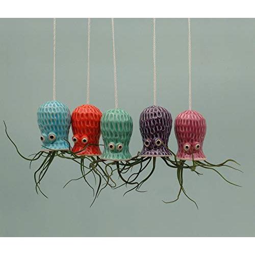 Small Hanging Octopus Air Plant Hanger