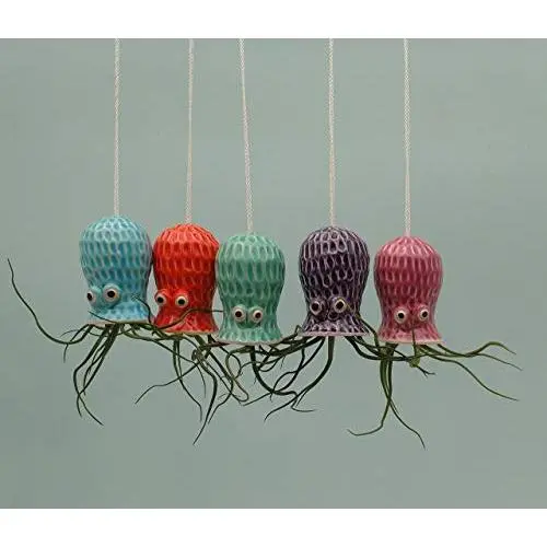 Small Hanging Octopus Air Plant Hanger