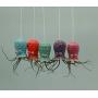 Small Hanging Octopus Air Plant Hanger