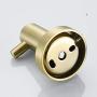 BigBig Home Stainless Steel 304 Towel Hook Champagne Golden, Wall Mounted Clothes Hanger with Screws for Bathroom and Kitchen Bathroom Accessory