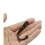 22pcs Vintage Retro Black Robe Hooks Wall Mounted Single Key Hook Hangers with 48pcs Screws 22pcs Vintage Retro Black Robe Hooks Wall Mounted Single Key Hook Hangers with 48pcs Screws
