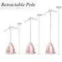2000w Clothes Fabric Steamer, Garment Steamer Powerful Fabric Steamer with Fabric Brush and Garment Hanger Handheld Hanging Vertical Mini Iron Ironing-Pink 26x160cm(10x63inch) 2000w Clothes Fabric Steamer, Garment Steamer Powerful Fabric Steamer with Fabric Brush and Garment Hanger Handheld Hanging Vertical Mini Iron Ironing-Pink 26x160cm(10x63inch)