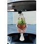 VIEW MIRROR Charm/mini plant hanger with maple barrel beads/rear view mirror accessory/car mirror accessory/cute car hanging accessory