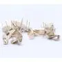 LEE House Double Needle Push Pin Hanger,Golden Plating Finish,Piece 12