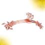 TOPBATHY 10PCS Anti-Slip Clothes Hangers Thickened Undewear Hanger Clip Hangers for Home Shop (Rose Gold) TOPBATHY 10PCS Anti-Slip Clothes Hangers Thickened Undewear Hanger Clip Hangers for Home Shop (Rose Gold)
