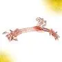 TOPBATHY 10PCS Anti-Slip Clothes Hangers Thickened Undewear Hanger Clip Hangers for Home Shop (Rose Gold)
