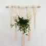 Macrame Plant Hanger, Macrame Wall Hanging, Hanging Planter, Macrame Planter, Boho Plant Hanger, Boho Wall Hanging, Boho Wall Decor, Macrame