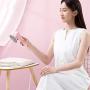 ZZYJYALG Hanging Ironing Machine Plastic Metal Handheld Large Capacity Transparent Water Tank Cotton Cloth Portable Dormitory Clothes Household Bed Linen Curtains High Temperature Ironing Travel (Pink