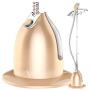QQT High-Power steam Ironing Clothes Ironing Machine, Household Small Hanging Vertical Iron, Ironing Machine-Gold