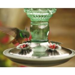 Perky-Pet 8108-2 Green Antique Bottle 10-Ounce Glass Hummingbird Feeder