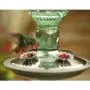 Perky-Pet 8108-2 Green Antique Bottle 10-Ounce Glass Hummingbird Feeder