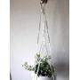 Cotton Modern Macrame plant hanger- Natural white cord