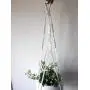 Cotton Modern Macrame plant hanger- Natural white cord Cotton Modern Macrame plant hanger- Natural white cord
