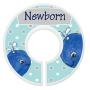 Mumsy Goose Nursery Closet Dividers Closet Organizers Baby Boy Clothes Dividers Nautical