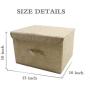 CHengQiSM Set of 2 Storage Boxes with Lids Foldable Large Storage Bins Cubes Containers Baskets with Removable Dividers for Home Closet Office Car Boot Clothes Toys Files Books, Beige