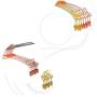 Underwear Hangers Metal Bra Clips Socks Panty Racks Home Drying Clothes Hanger with Clips 10pcs Random Color