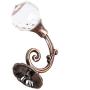 Clear Crystal Curtain Holdback Wall Mounted Tieback Hooks Tassel Clothes Hat Towel Coat Hanger Holder