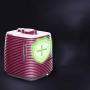 HWZXBCC Steam Iron Garment Steam Ironing 2L Household Ironing Machine steam Small Vertical Handheld Iron steam Hanging Ironing Machine 220v