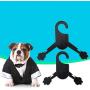 Legendog Pet Clothes Hanger, 10Pcs Dog Clothes Hanger Paw Shaped Pet Clothing Hanger for Dog Cat (S-L)