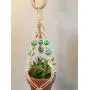 Macrame Car Rear view Mirror Plant Hanger, Boho Hippie Succulent, Mini Car Plant hanger, Handmade Car Charm, Macrame Mini Cacti Boho Plant